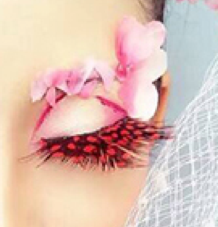 Dorisue Anime lashes Red lashes Sexy Lip dramatic cosplay Shiny Long a –  DoriSue